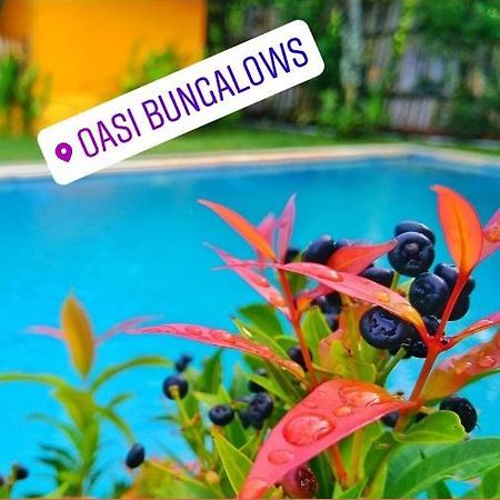 Oasi Bungalows Hotel Gili Air Esterno foto