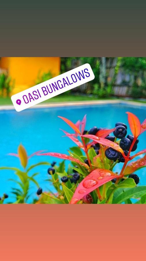 Oasi Bungalows Hotel Gili Air Esterno foto